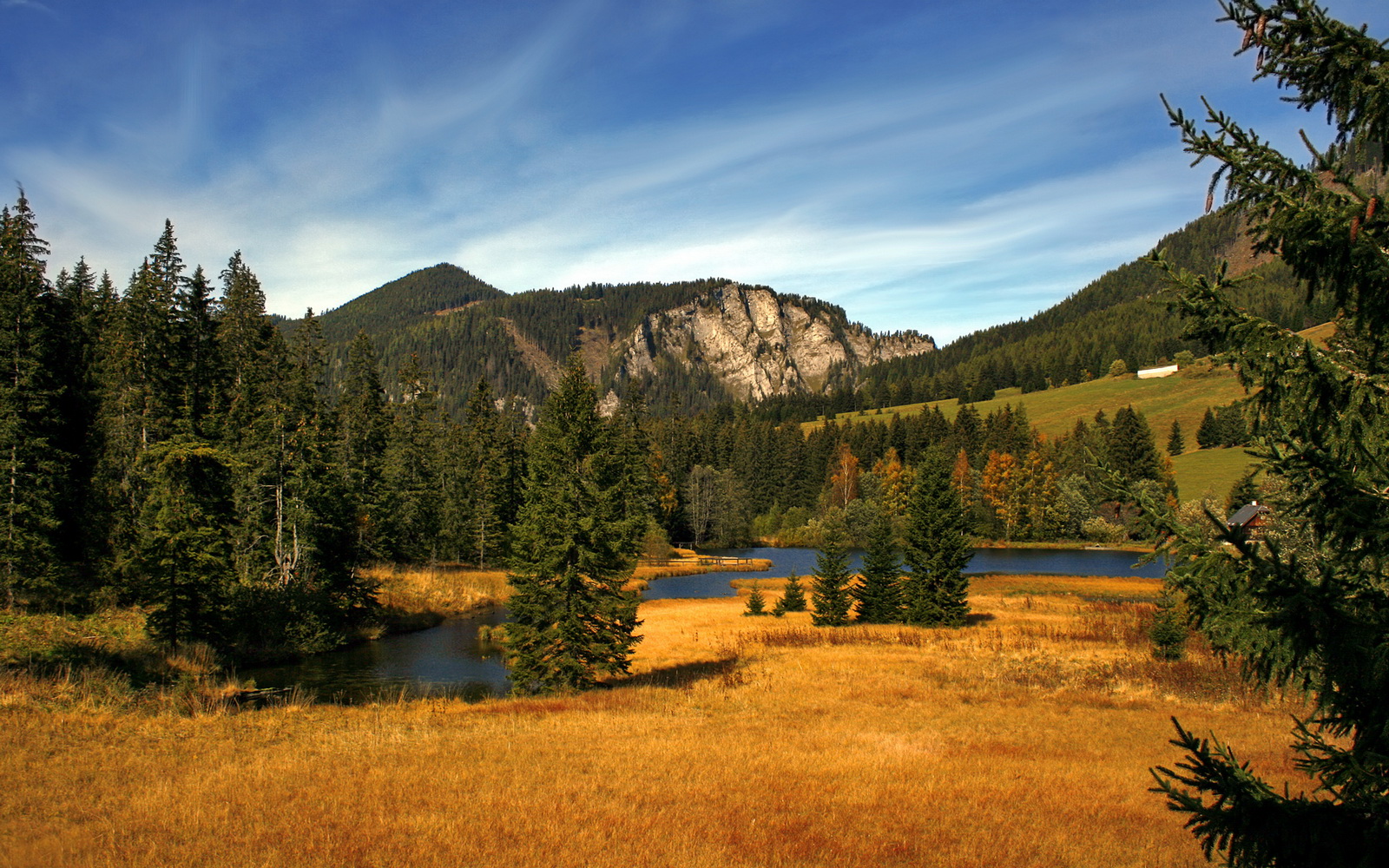 爱游戏智能平台-罗马尼亚队赛制分析:如何最大化团队优势应对强敌,罗马尼亚已组联赛 第3张 爱游戏智能平台-罗马尼亚队赛制分析:如何最大化团队优势应对强敌,罗马尼亚已组联赛 第3张