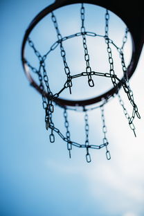 AYX体育-中国篮球教练员团队合作能力培养及影响因素分析,篮球教练组成员 第2张 AYX体育-中国篮球教练员团队合作能力培养及影响因素分析,篮球教练组成员 第2张
