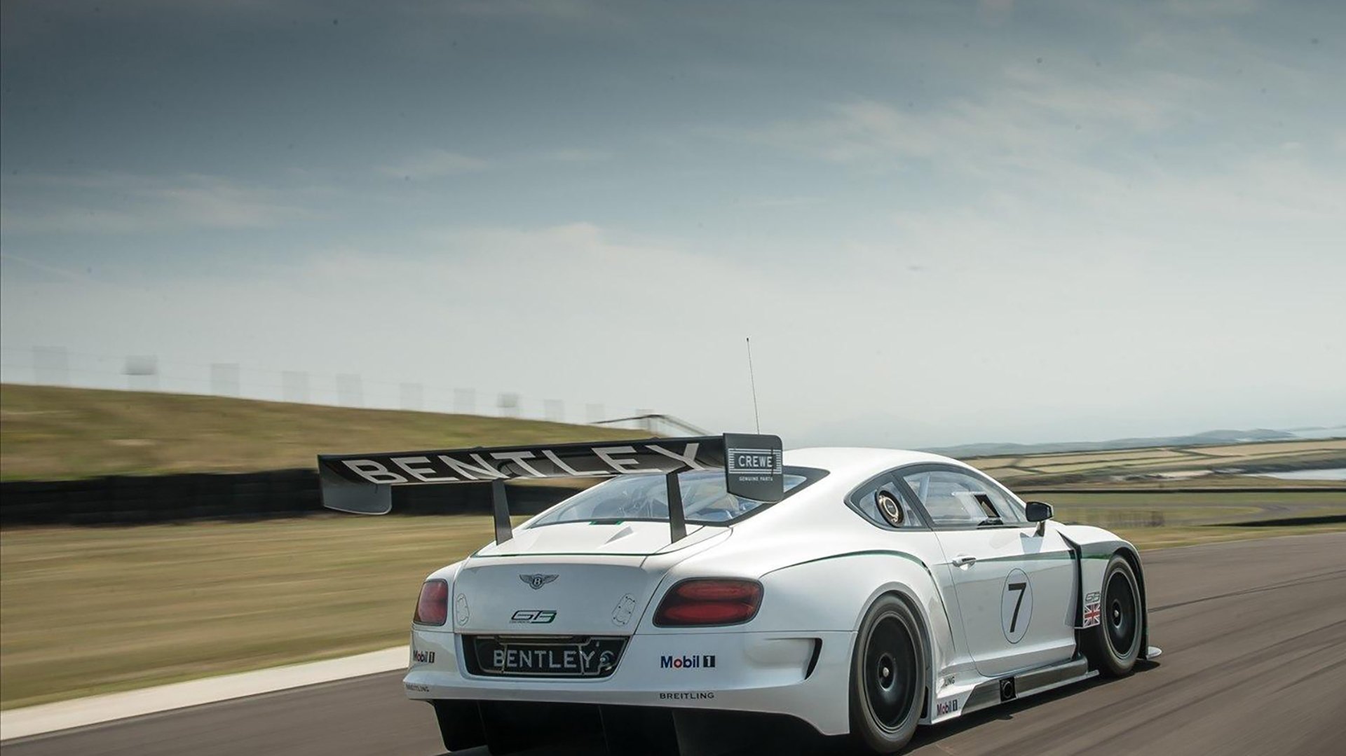 爱游戏官方网站-北京鸭持续输出进攻火力形成压倒性优势，北京鸭与其他鸭子的区别  第2张